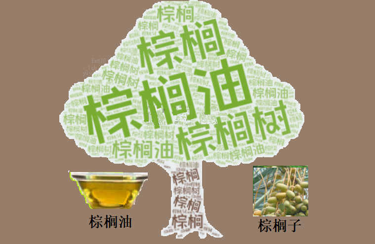 棕榈油逼近4639林吉特 能源与增产博弈